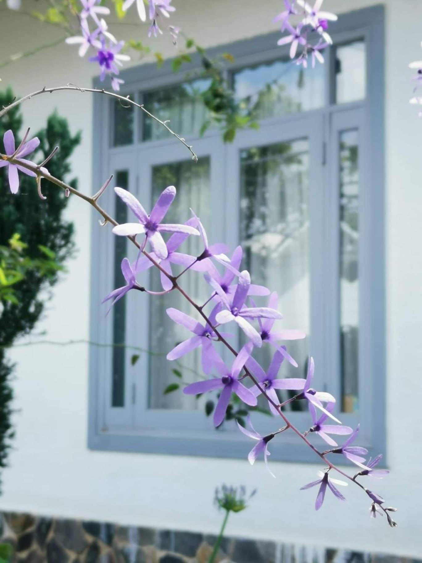 Tia Du Villa Homestay Да Лат Екстериор снимка