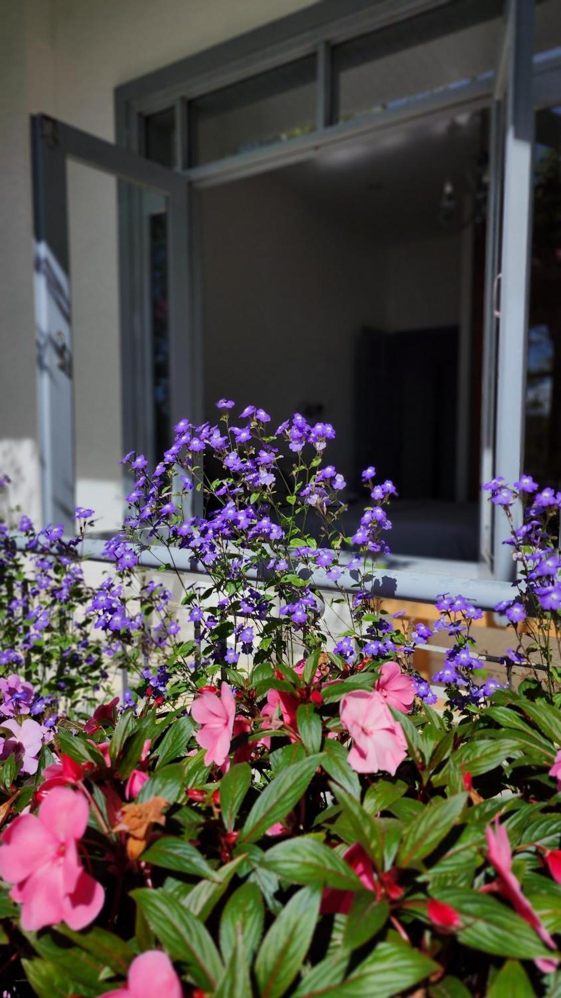 Tia Du Villa Homestay Да Лат Екстериор снимка